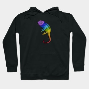 rainbow chameleon Hoodie